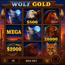 NaoBet - Wolf Gold Slot Game - Money Symbol Jackpots